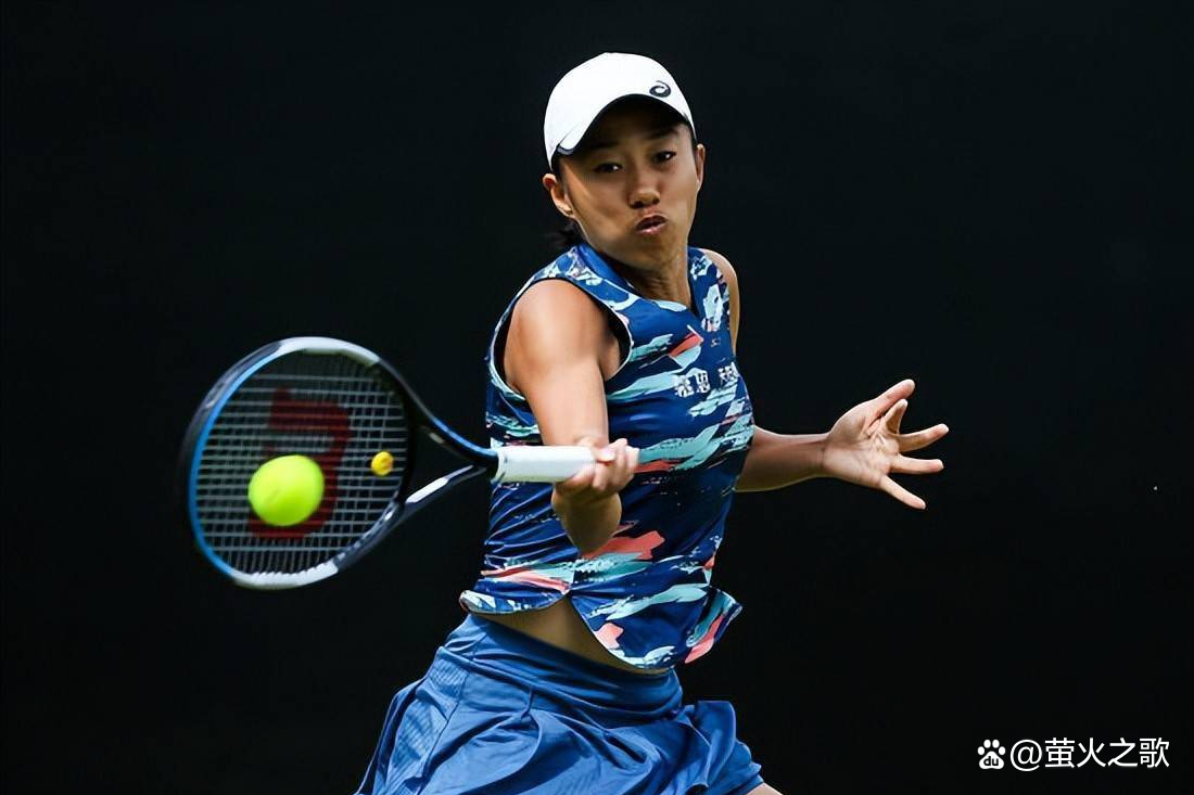 弥补个人不 弥补个人不